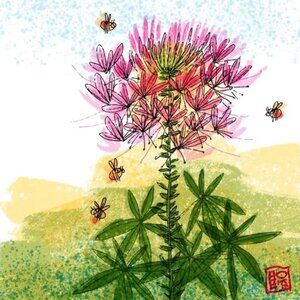 Meet your Posher, Linda